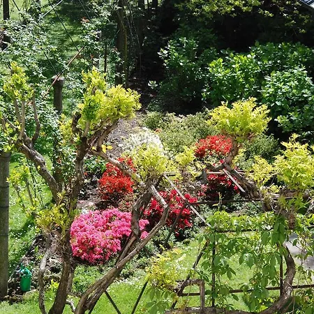 Bed and Breakfast La Canarina 3*