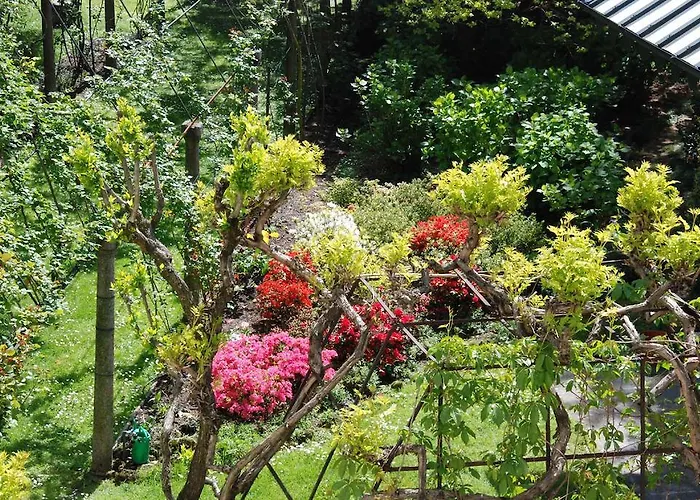 Bed and Breakfast La Canarina 3*